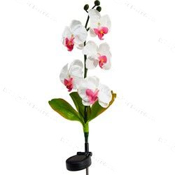 Светильник садово-парковый на солнечной батарее "Орхидея белая с розовым" 5LED белый70см PL301 Feron