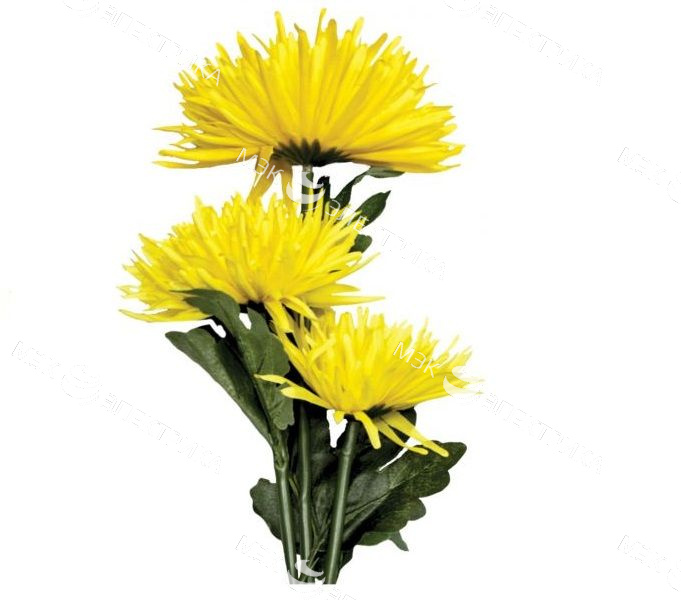 Светильник садово-парковый на солнечной батарее "Астра 3 шт" желтый, 3 LED, 80см PL304 Feron